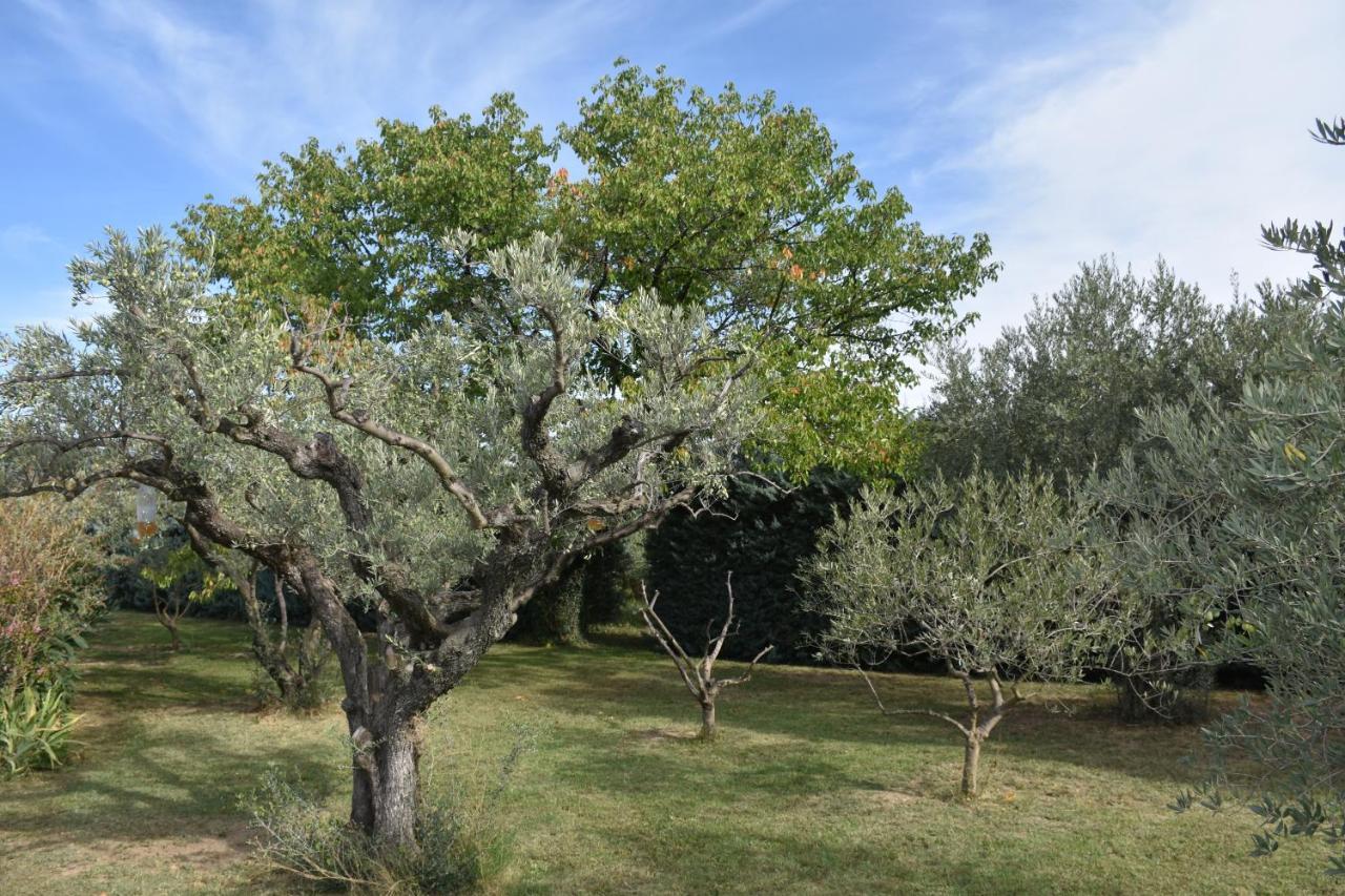 Aux Reves Des Mees Villa Les Mées Exteriör bild
